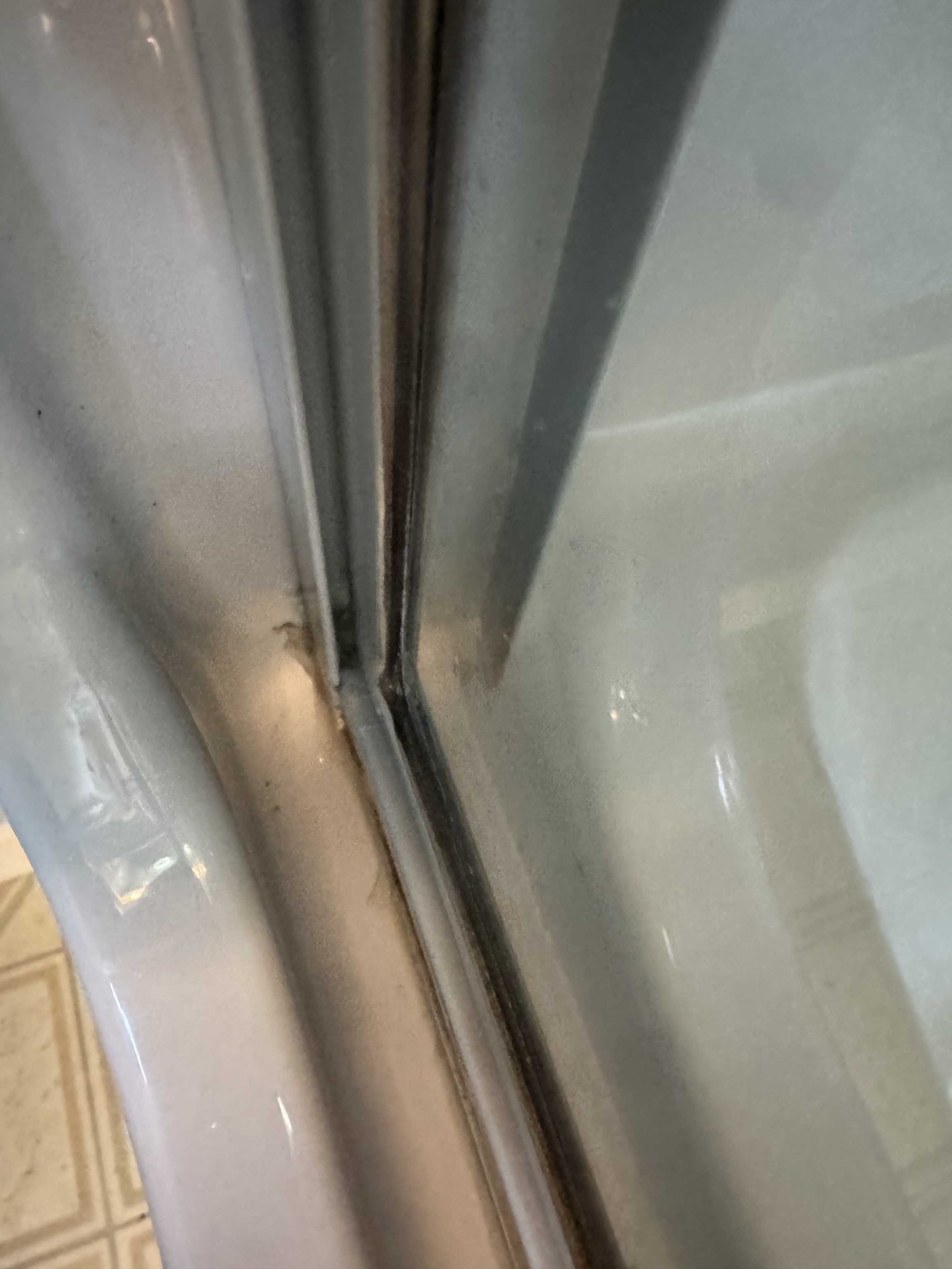 Bathtub door & track after